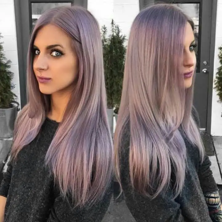 Lavender with grey