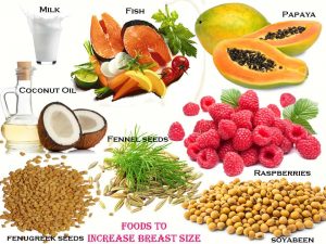 foods that increase breast size